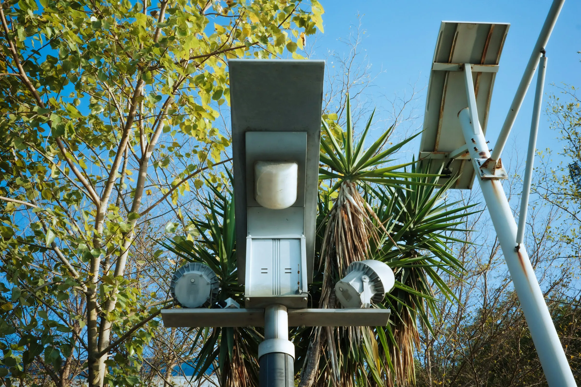Solar street light with its panel mounted on the pole, among trees